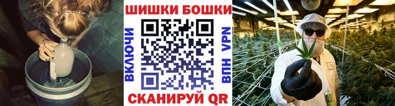 купить наркоту  Волгореченск  Бошки марихуана VHQ 